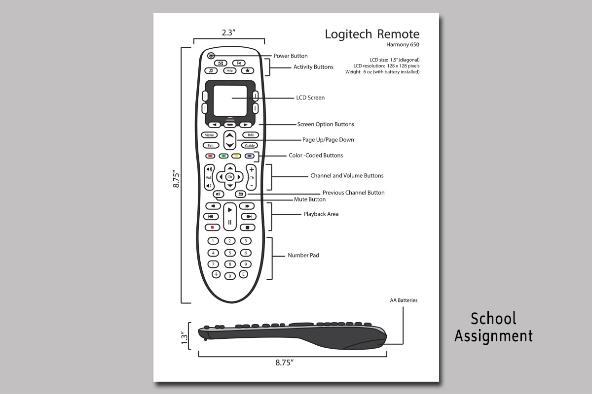 Remote Instruction Manule Graphic/School Project